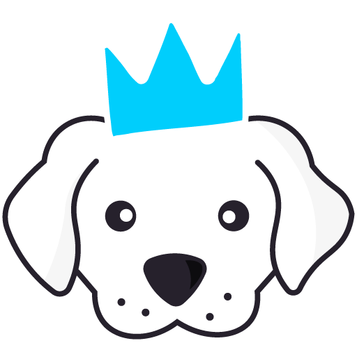 Mascotas y mucho mas